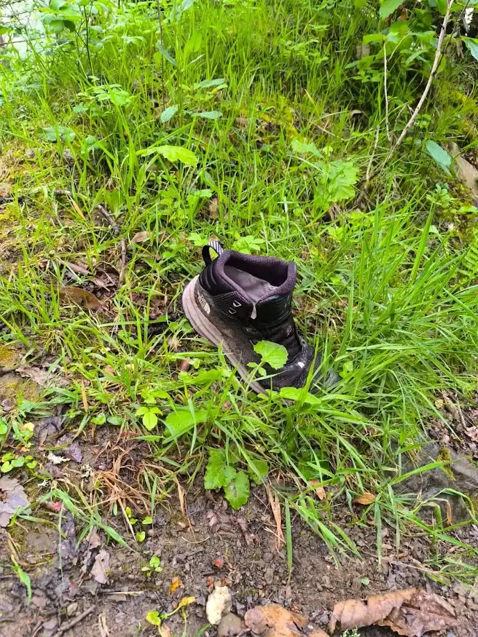 Bota solitaria en mitad de un sendero rural con vegetación húmeda, símbolo de alerta inesperada en un camino tranquilo.