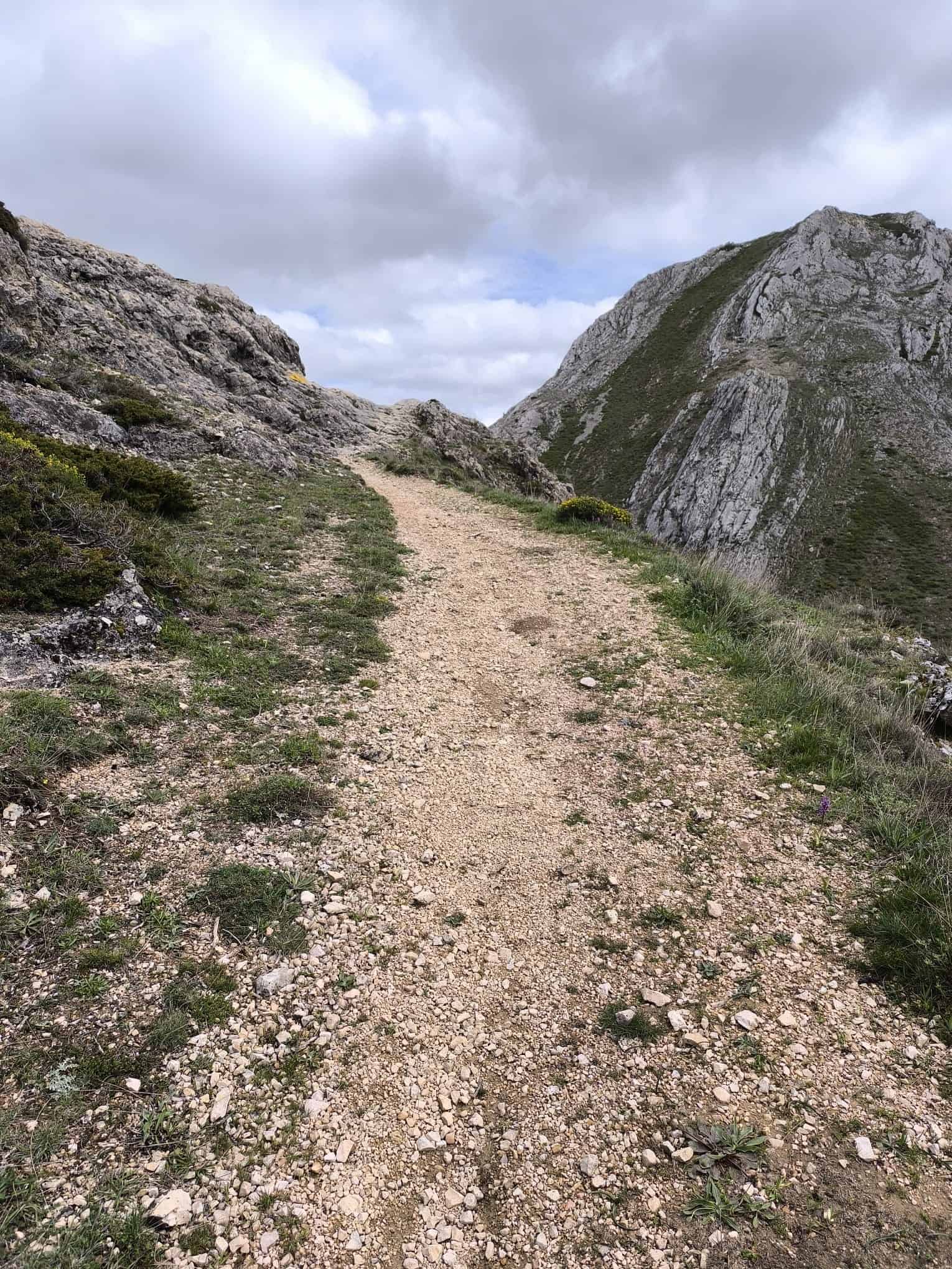 Sendero de montaña entre rocas y pasto bajo cielo nublado, simbolizando esfuerzo, avance y toma de decisiones en el camino.