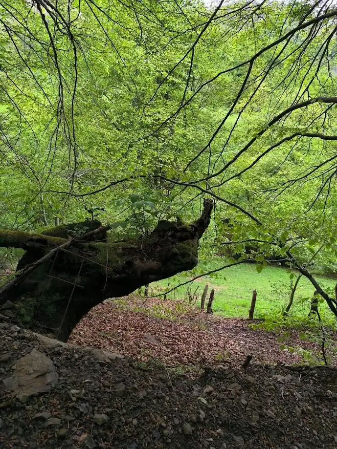 Precio amigo, margén enemigo.