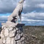 Escultura de un lobo aullando sobre un pedestal de piedra en lo alto de la Cañada del Lobo, con montañas y cielo nublado al fondo.