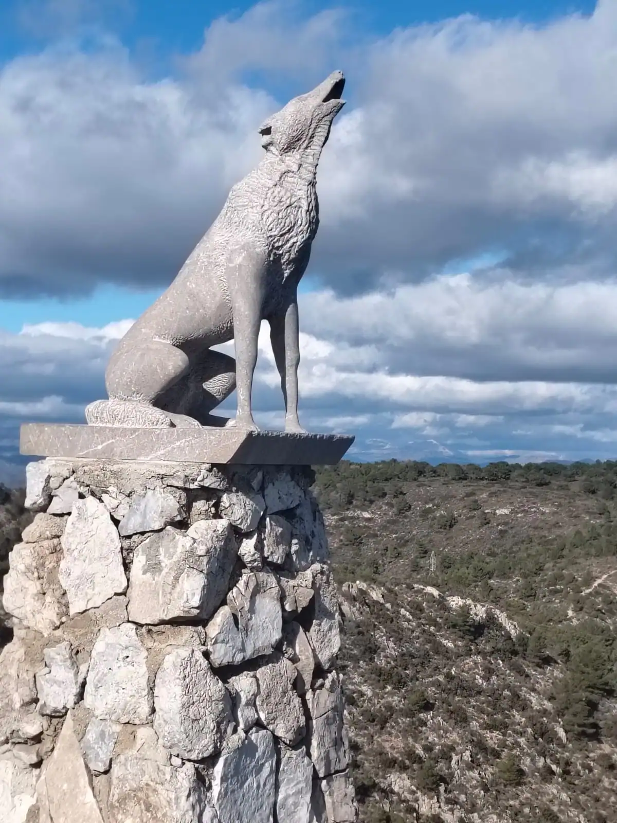 ¿Dónde está el lobo?